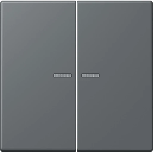 Jung LS range Home stuurafdekking LC32010 2-voudig Mat BTLC17102202