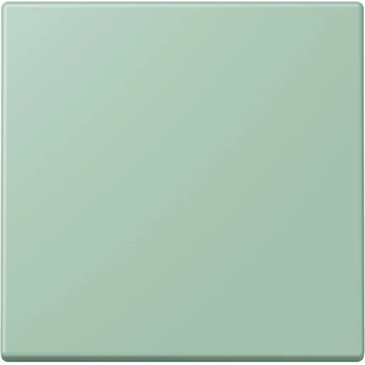 Jung LS range EnOcean wandzender 2-kanalen ENOLC990217