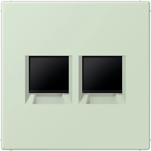 Jung LS range Afdekking centraalplaat AMP Radiall LC32042 Modular-Jack 2 connectoren Zonder label LC1969-2WE218