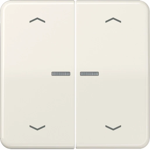 Jung CD range HOME stuurafdekking pijl 2-voudig Glanzend wit RAL 1013 BTCD17102P