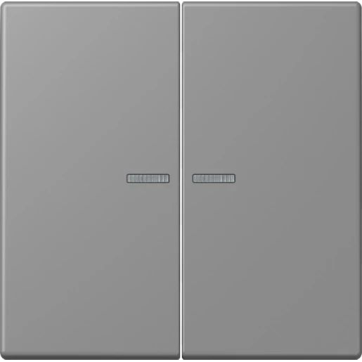 Jung LS range Home stuurafdekking LC32011 2-voudig Mat BTLC17102203