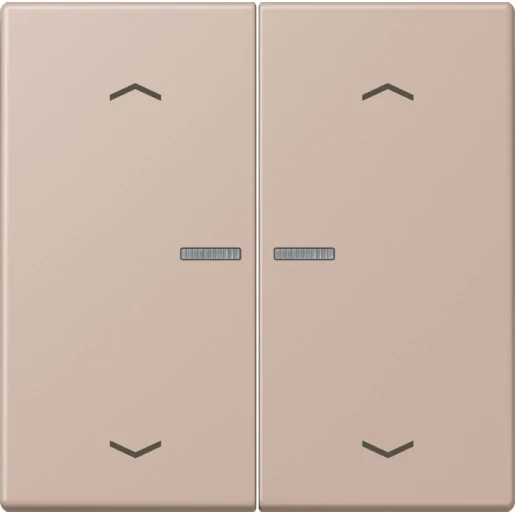Jung LS range Home stuurafdekking pijl LC32131 2-voudig Mat BTLC17102P240