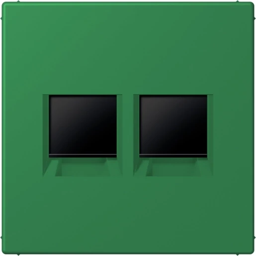 Jung LS range Afdekking centraalplaat AMP Radiall LC32050 Modular-Jack 2 connectoren Zonder label groen LC1969-2WE219