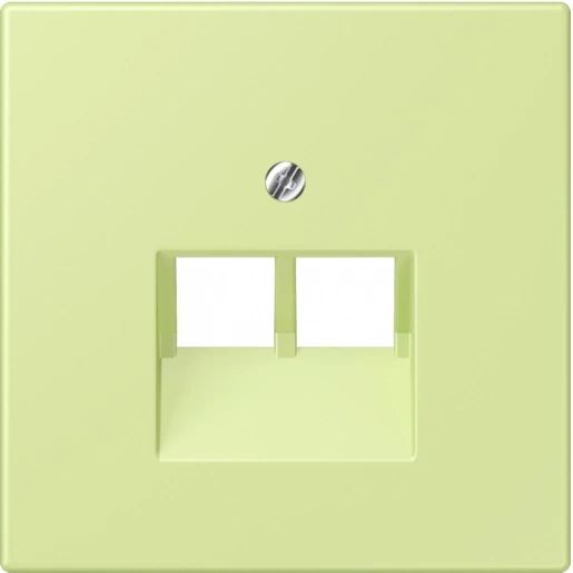 Jung LS range Afdekking centraalplaat LC32053 UAE/IAE 2 connectoren Zonder label LC969-2UA222