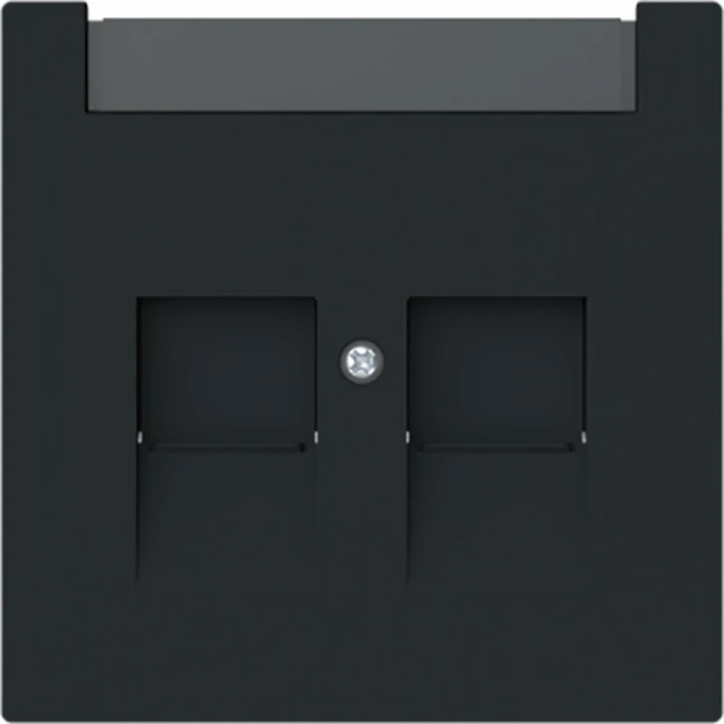 ABB Busch-Jaeger Art linear Centraalplaat schuifjes Bedieningselement 2 connectoren Met label zwart 2CKA001710A4238