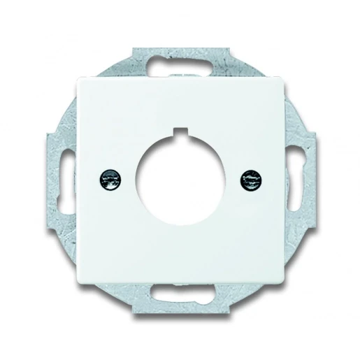 ABB Busch-Jaeger Future, Solo, Axcent, Carat centraalplaat Basiselement met centrale afdekplaat 1 connector Zonder label wit 2CKA001724A4256