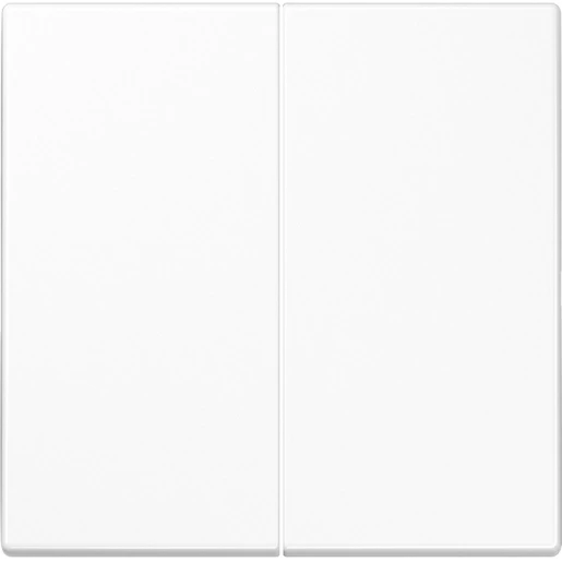 Jung LS range tastafdekking ls990 alpine wit 2-voudig Glanzend wit RAL 9016 LS1702WW
