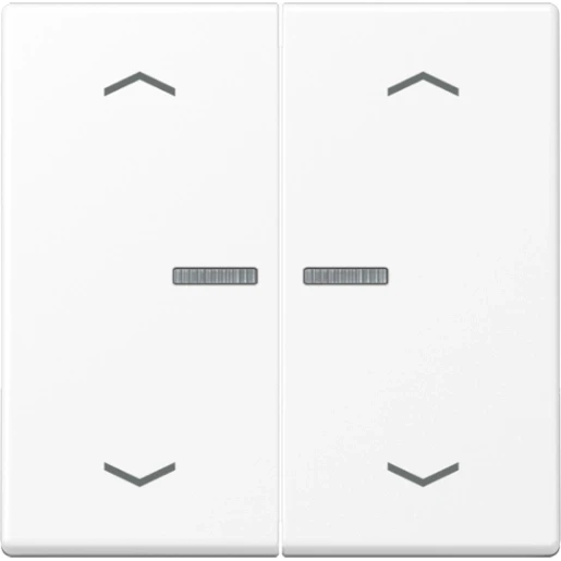 Jung A range home stuurafdekking pijl a500 2-voudig Mat wit RAL 9016 BTA17102PWWM