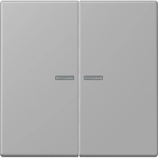 Jung LS range Home stuurafdekking LC32012 2-voudig Mat BTLC17102204