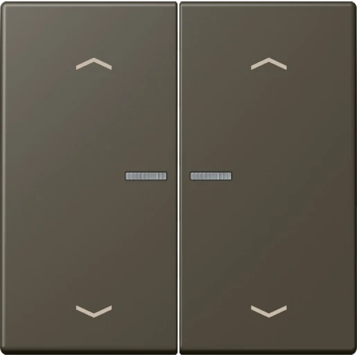 Jung LS range Home stuurafdekking pijl LC32140 2-voudig Mat BTLC17102P241