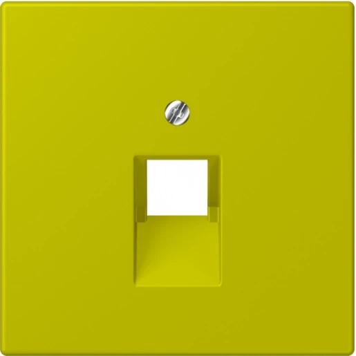 Jung LS range Afdekking centraalplaat 4320F UAE/IAE 1 connector Zonder label groen LC969-1UA249