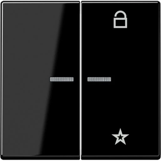 Jung A range tastafdekking slagvast a500 slagvast 2-voudig Glanzend zwart RAL 9005 FMA1701BFSW