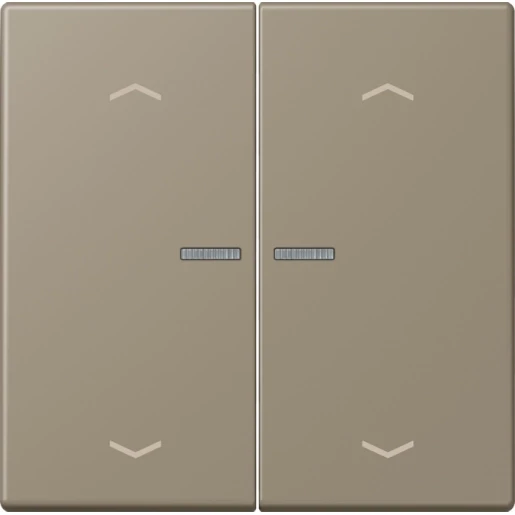 Jung LS range Home stuurafdekking pijl LC32141 2-voudig Mat BTLC17102P242