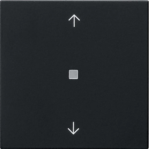 Gira System 55 draadloos bedieningselement enkelvoudig Mat zwart 5494005