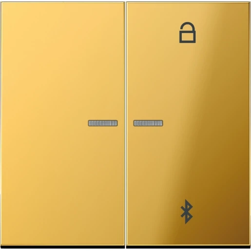 Jung Timer LS-goudkleur.universeel bluetooth