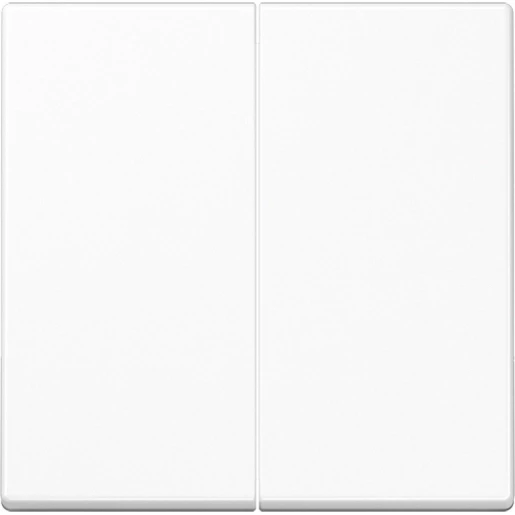Jung A range tastafdekking a500 alpine wit 2-voudig Glanzend wit RAL 9016 A1702WW