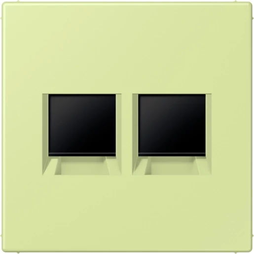 Jung LS range Afdekking centraalplaat AMP Radiall LC32053 Modular-Jack 2 connectoren Zonder label LC1969-2WE222