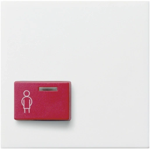 Gira System 55 miva centraalplaat oproepsysteem ackermann 73022 a2 wit RAL 9010 022903