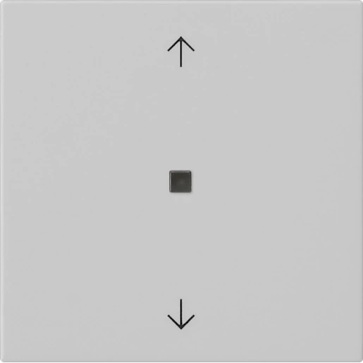 Gira System 55 draadloos bedieningselement enkelvoudig Mat grijs 5494015