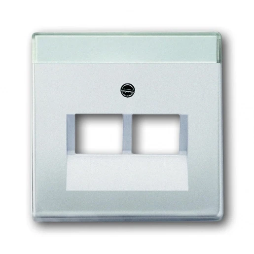 ABB Busch-Jaeger Centraalplaat datadoos RJ45 Jack plug Centraalplaat 2 connectoren Met label RVS 2CKA001710A3764