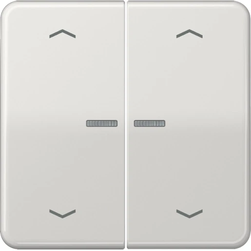 Jung CD range home stuurafdekking pijl licht grijs 2-voudig Glanzend grijs RAL 7035 BTCD17102PLG
