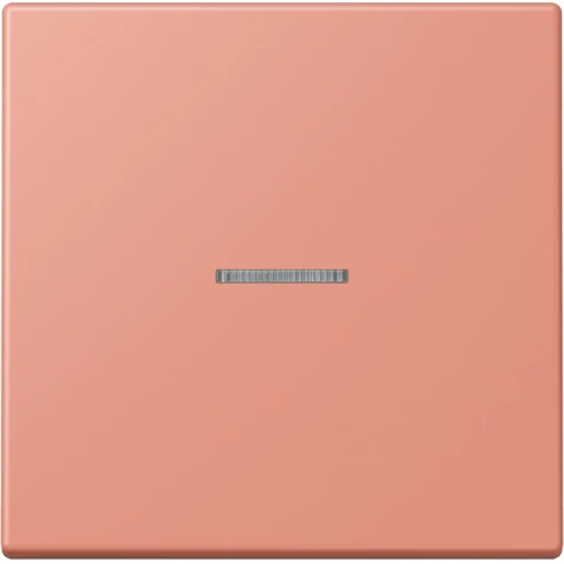 Jung LS range Home stuurafdekking LC32111 enkelvoudig Mat BTLC17101233