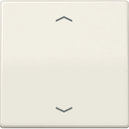 Jung AS range afdekking standaard 1730je as500 enkelvoudig Glanzend wit RAL 1013 AS1700P