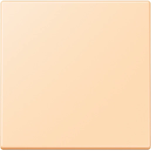Jung LS range EnOcean wandzender 2-kanalen ENOLC990223