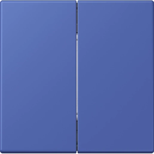 Jung LS range Friends of Hue wandzender 4-kanalen FOHLC995206