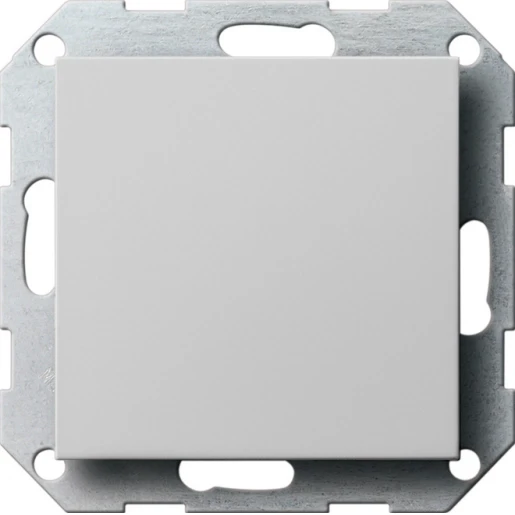 Gira System 55 afdekking draagring Blindkap Bedieningselement Zonder label grijs 0268015
