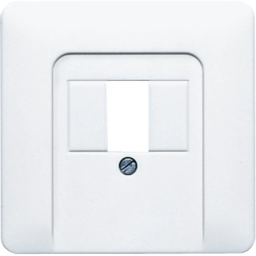 Jung CD range centraalplaat cd500 TAE 1 connector Zonder label grijs CD569TGR