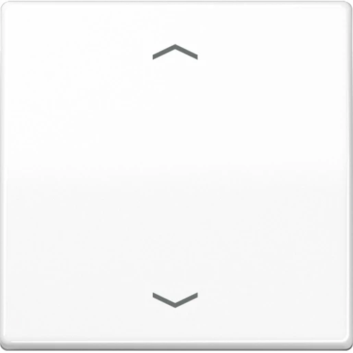 Jung AS range afdekking standaard 1730je as500 enkelvoudig Glanzend wit RAL 9016 AS1700PWW