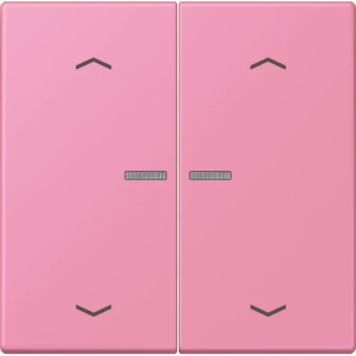 Jung LS range Home stuurafdekking pijl LC4320C 2-voudig Mat BTLC17102P246