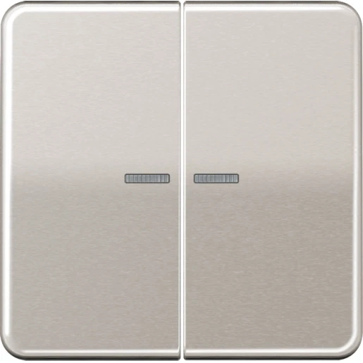 Jung CD range HOME stuurafdekking 2-voudig Mat platina BTCD17102PT