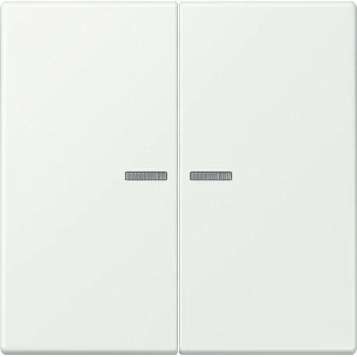 Jung LS range Home stuurafdekking LC32024 2-voudig Mat BTLC17102210