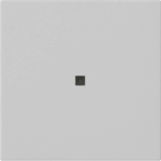 Gira System 55 draadloos bedieningselement enkelvoudig Mat grijs 5495015