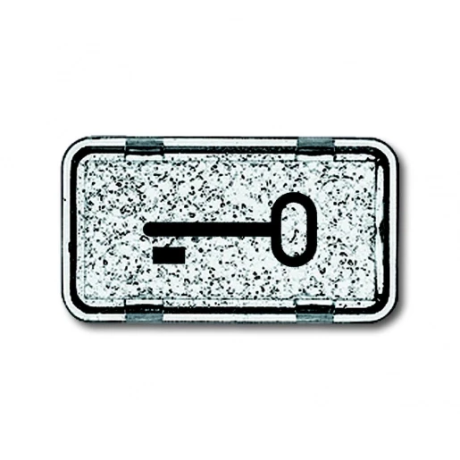 ABB Busch-Jaeger sleutel symbool v wip 2106 ip44 2CKA001714A0286
