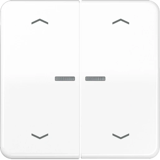Jung CD range home stuurafdekking pijl alpine wit 2-voudig Glanzend wit RAL 9016 BTCD17102PWW