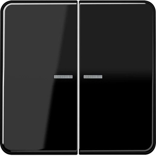 Jung CD range HOME stuurafdekking 2-voudig Glanzend zwart RAL 9005 BTCD17102SW