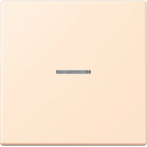 Jung LS range Home stuurafdekking LC32123 enkelvoudig Mat BTLC17101238