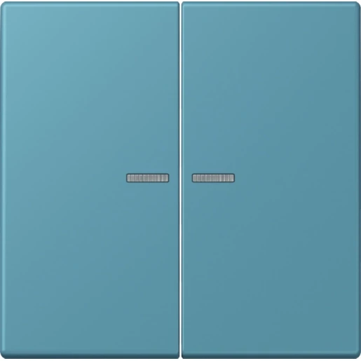 Jung LS range Home stuurafdekking LC32031 2-voudig Mat BTLC17102212