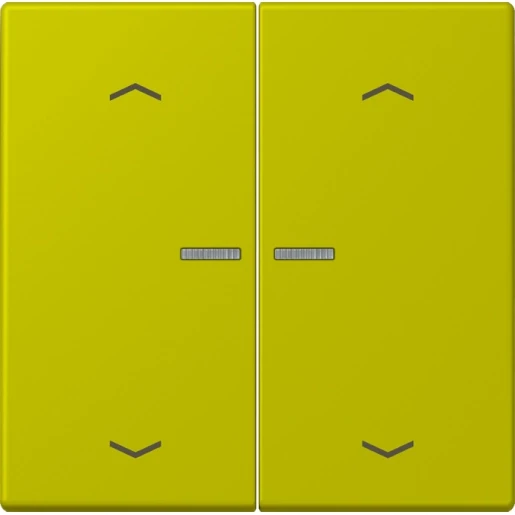 Jung LS range Home stuurafdekking pijl LC4320F 2-voudig Mat groen BTLC17102P249