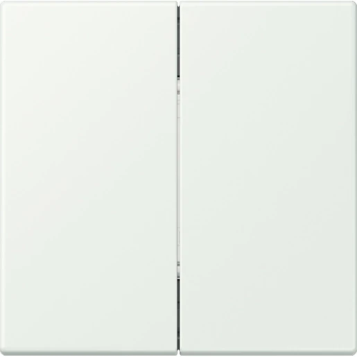 Jung LS range Friends of Hue wandzender 4-kanalen FOHLC995210