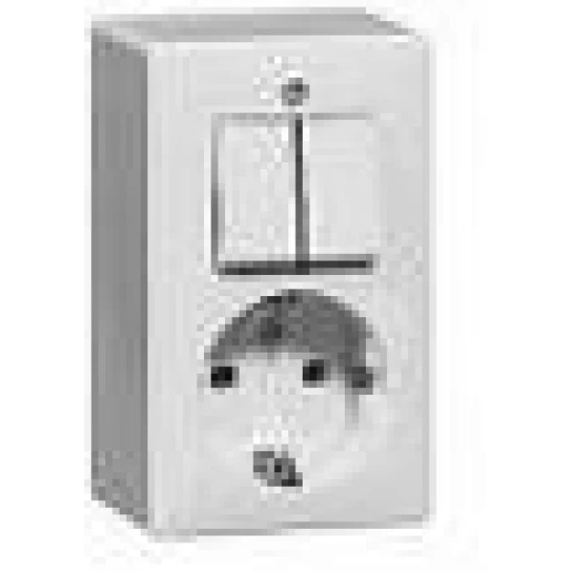 Peha combinatie wandcontactdoos ra 2-p schakelaar opbouw IP20 00275521