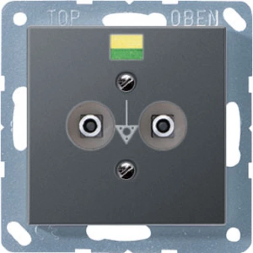 Jung A range Potentiaal aardingscontactdoos contactdoos 2-voudig inbouw Mat antraciet A565-2BFANM