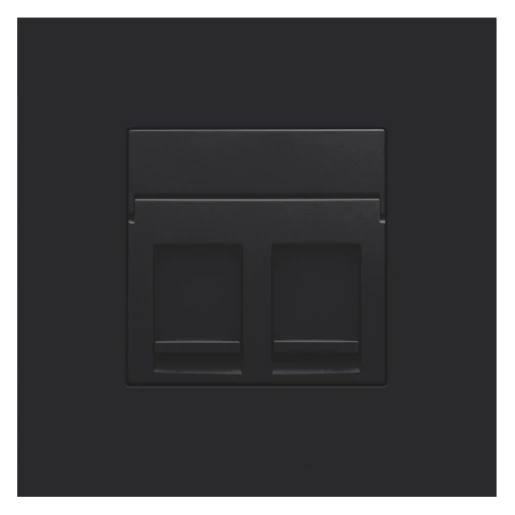 Niko Pure Centraalplaat data RJ champagnekleurig Modular-Jack Centraalplaat 2 connectoren Zonder label zwart 161-65200