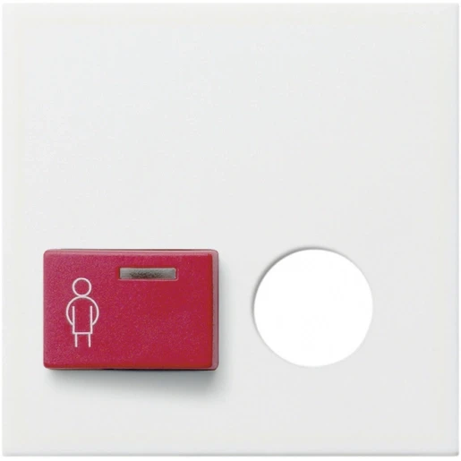 Gira System 55 miva centraalplaat oproepsysteem ackermann 73022 b/73023 b wit RAL 9010 023227