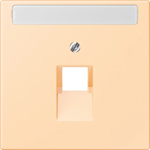 Jung LS range Afdekking centraalplaat LC32060 UAE/IAE 1 connector Met label LC969-1NAUA223