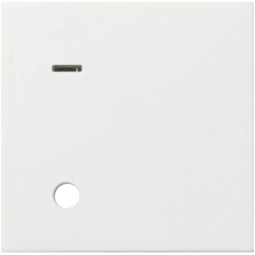 Gira System 55 miva centraalplaat oproepsysteem ackermann 70045 a3 wit RAL 9010 023303