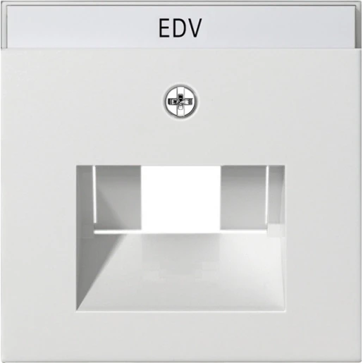 Gira System 55 afdekking tk netwerkaansluitdoos UAE/IAE Centraalplaat Met label wit 028403
